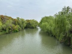 -同里国家湿地公园