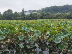 -贵阳市花溪国家城市湿地公园