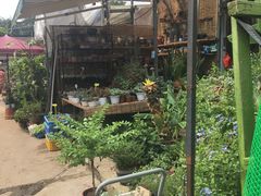 -桂林市花鸟市场