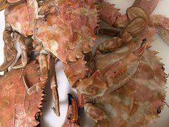 -宾朋海鲜特色美食餐厅·纯手工鲅鱼水饺(兴海路店)