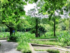 -花溪公园