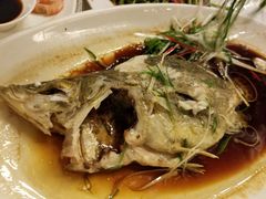 -相思林金岛饭店(青山湖店)