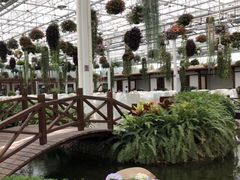 -上海鲜花港