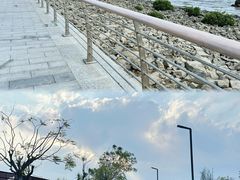 -黄山鲁森林公园