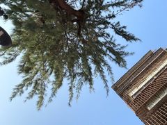 -隆都四季香饭店(碧海路店)