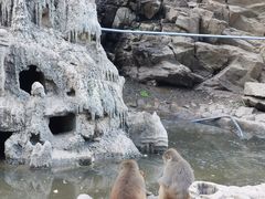 -栾川竹海野生动物园
