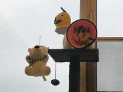 -联合动物医院(光谷诊疗中心)