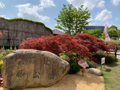 -嘉定紫藤园