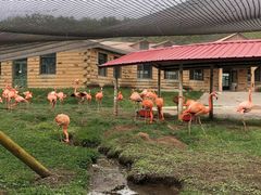 -哈尔滨北方森林动物园