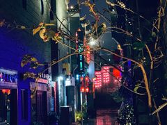 -东西巷