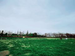 -两河城市森林公园