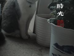 -长春观