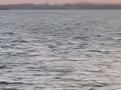 -丁香湖公园