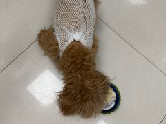 -瑞鹏宠物医院·内科·中兽医·骨科(苗圃店)