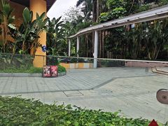 -Tims天好咖啡·贝果(华侨城步行街店)