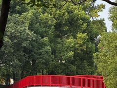 -美兰湖景区