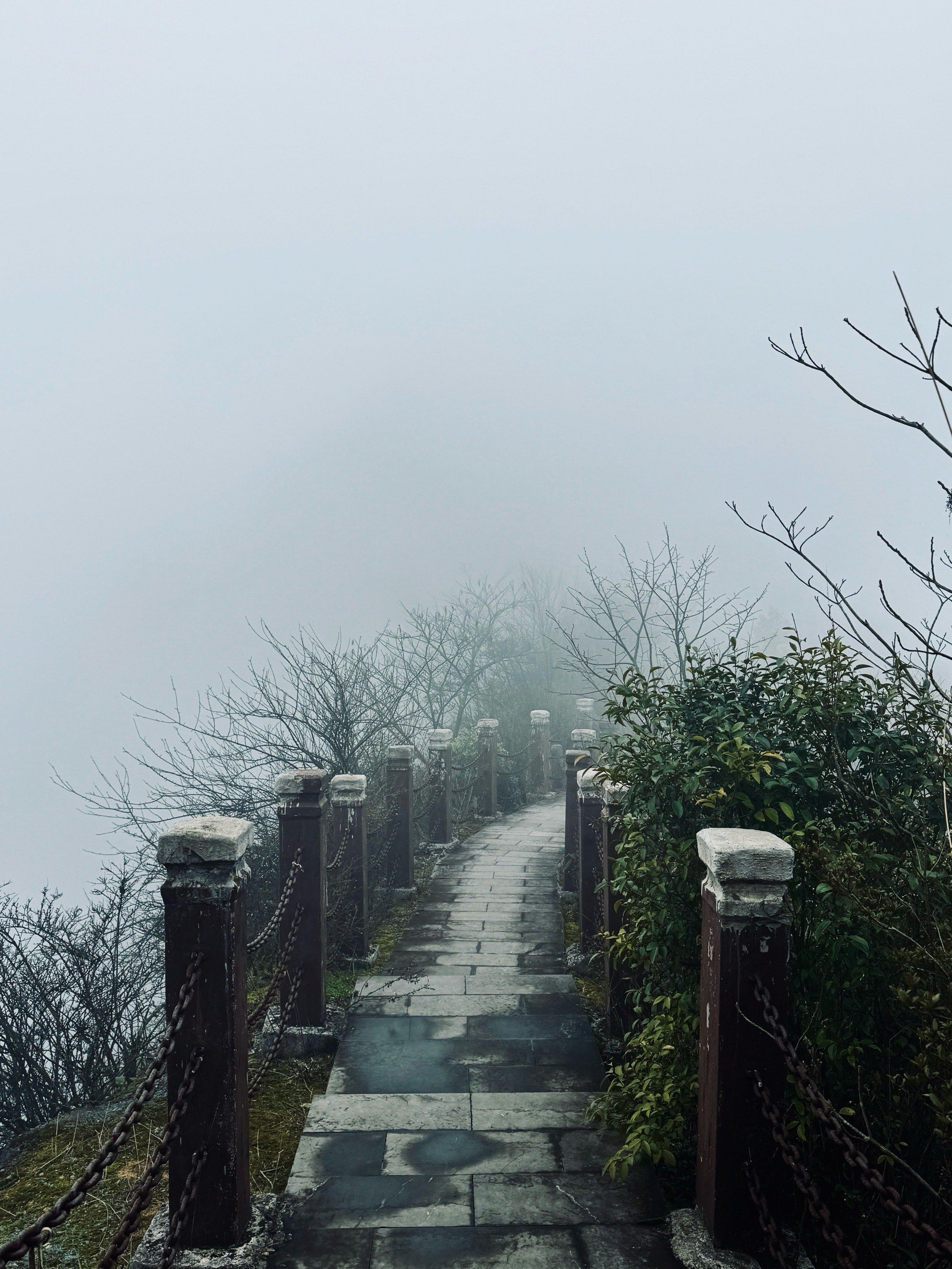 夏天可避暑,冬天可赏雪的绝美尧龙山徒步爬山攻略
