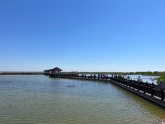 -南大港湿地风景区