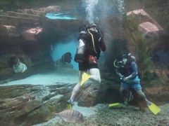 -波塞冬旅游度假区