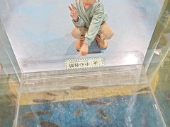 -上海大自然野生昆虫馆(东方明珠·爬宠昆虫探索中心)