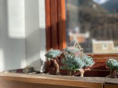 -四姑娘山阿巴郎·藏式花园餐厅