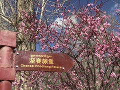 -罗布林卡