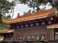 -深圳仙湖植物园