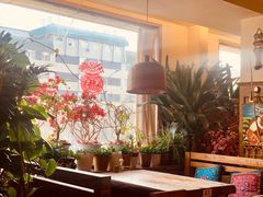 -云之南(八里庄店)