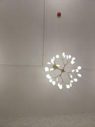 -瘦吧减肥专门店