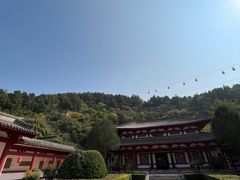 -徐州汉画像石艺术馆