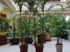 -青岛海泉湾皇冠假日度假酒店