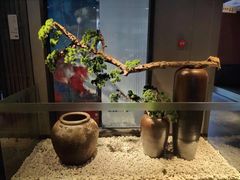 -蜀九香火锅(江油店)