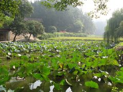 -韶山毛泽东同志故居