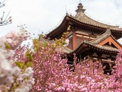 -西安青龙寺遗址景区