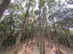 -阳台山森林公园