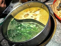 -禄婶鸡煲·打边炉