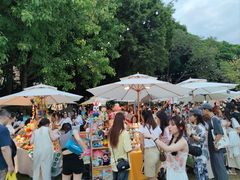 -南宁南湖公园