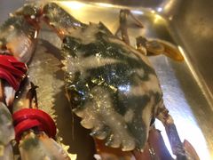 螃蟹-鲜鲜·鲅鱼圈海鲜(于洪店)