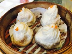 -新兴·金羊座·粤菜点心(乐峰店)