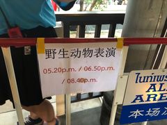 -清迈夜间动物园