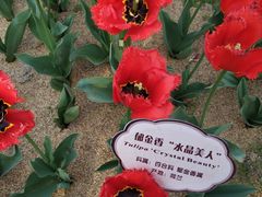 -江南大学(蠡湖校区)