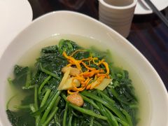 -湛江民大喜来登酒店-采悦轩中餐厅