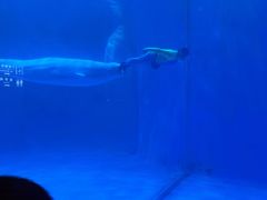 -多彩贵州城极地海洋世界