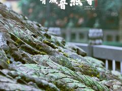 -都江堰普照寺
