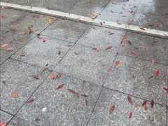 -索拉古贝(义乌北苑店)