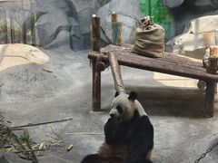-泉城欧乐堡梦幻世界