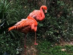 -昆明动物园