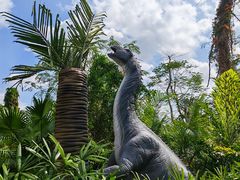 -海南热带野生动植物园
