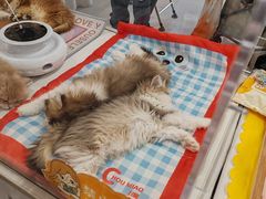 -万达广场(北京槐房店)