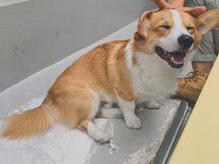 -NEA BAY咖啡馆